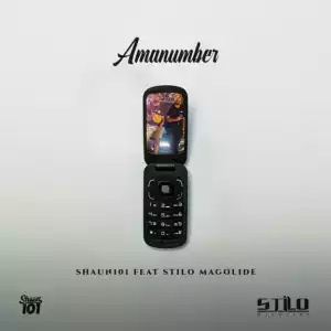 Shaun101 - AmaNumber ft. Stilo Magolide